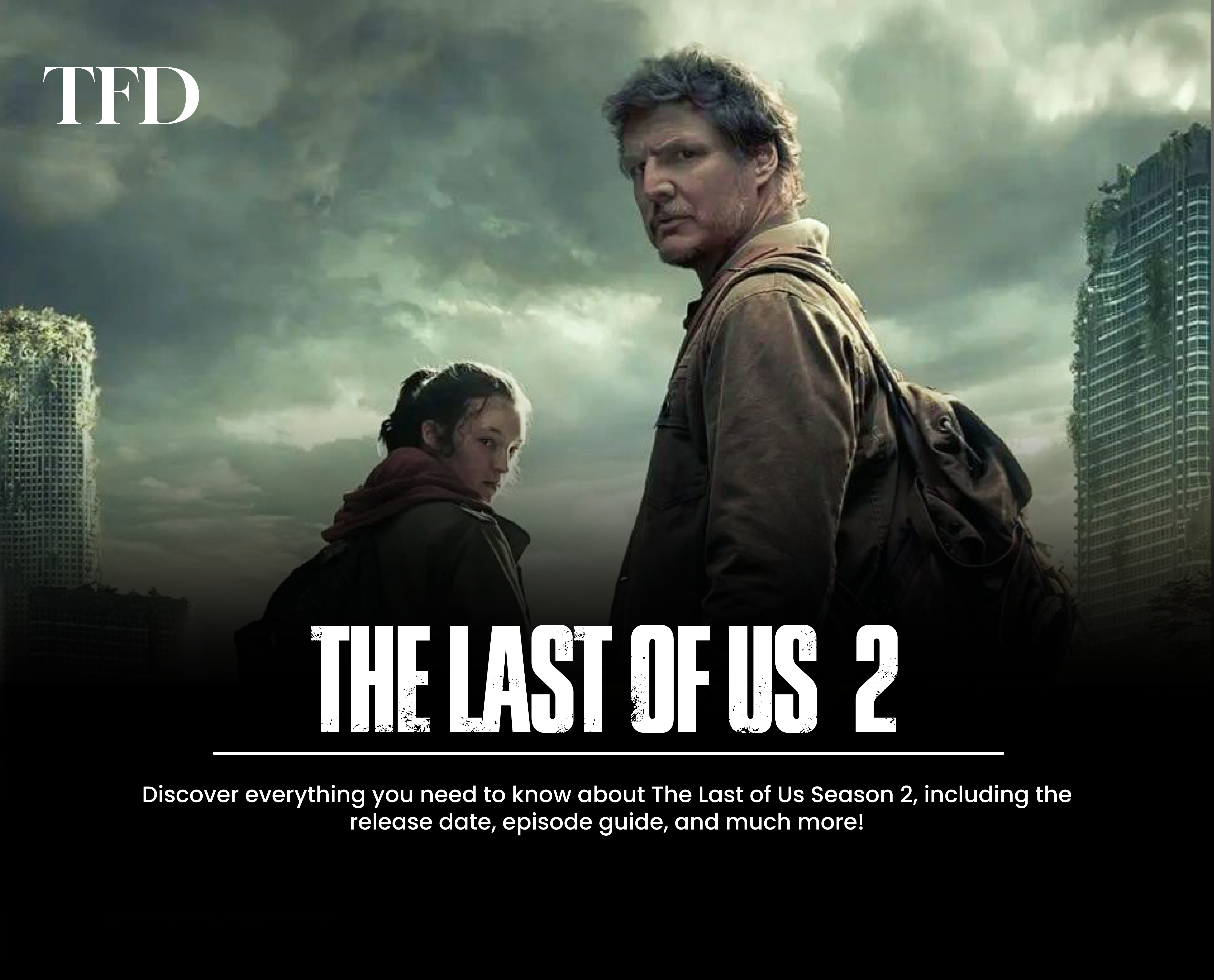 The last of us season 2 HBO