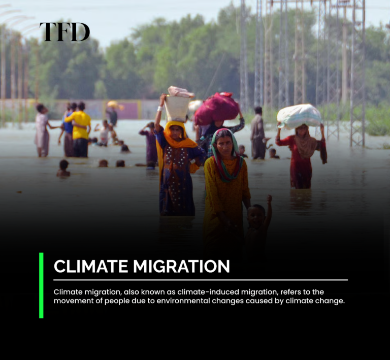 Global Climate Migration Trends in 2025: Who’s Moving and Why