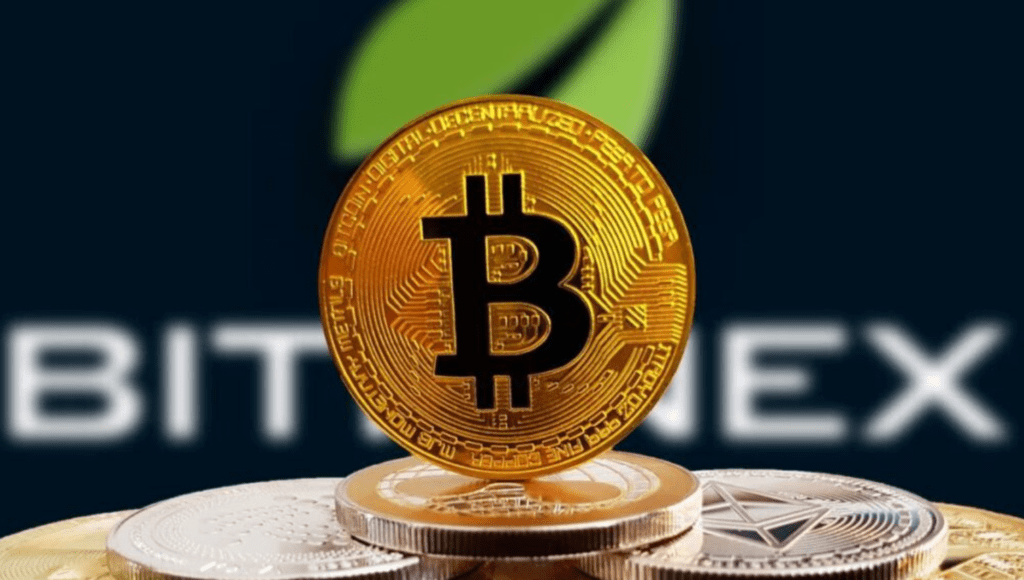 Crypto30x.com: Exploring the Innovative Crypto Platform