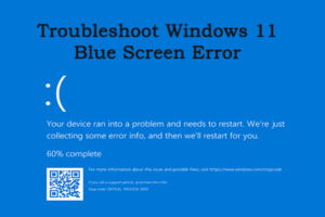 How to Fix Blue Screen Error in Windows 11