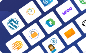 Managed WordPress hosting for eCommerce sites