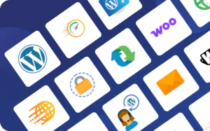 Managed WordPress hosting for eCommerce sites