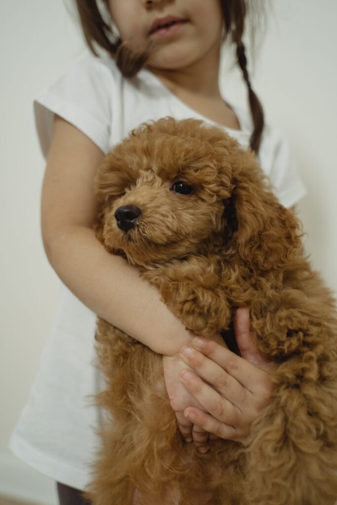 Best Dog Breeds for Families: 15 Loving, Kid-Friendly Choices