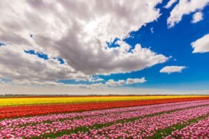 best places to visit in spring